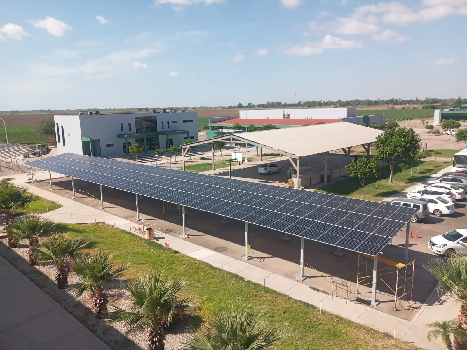 Campo de paneles solares con cielo despejado
